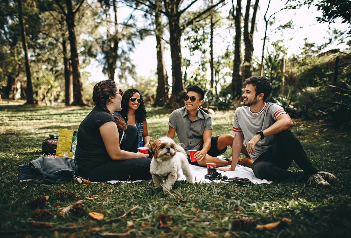 People in a park having a picnic